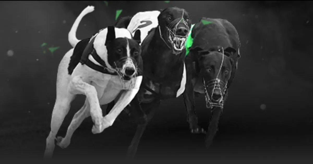 詹俊点赞,纽卡斯尔气,势磅礴,007球探体育首页,即时比分,比分直播,足球比分直播,007球探官网