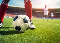 欧洲区世预,赛首轮匈牙,利与波兰,007球探体育首页,即时比分,比分直播,足球比分直播,007球探官网