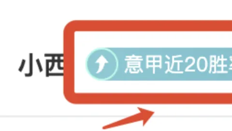 恩佐或今夏离切尔西，曾121亿欧加盟大乐透期号